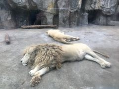 -南昌动物园