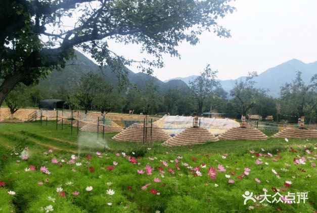 夏天户外露营好去处 69元包含项目超多