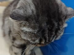 -全心全意连锁动物医院·微创中心·内科急重症·心脏专科(丰管路店)