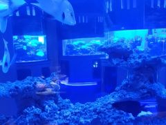 -上和臻品中国菜(花园街店)