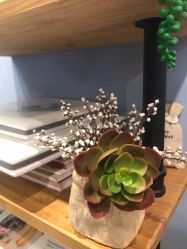 -菲林婚纱摄影工作室