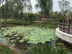 -武清南湖绿博园