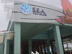 -新加坡水上探险乐园