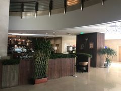 大堂吧-国兴大厦