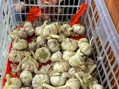 -回坊马二饺子馆