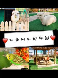 -萌宠亲子动物乐园(槐房万达店)