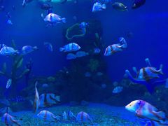 -福州罗源湾海洋世界旅游区