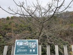-福道