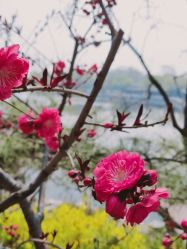 -西城区什刹海儿童乐园