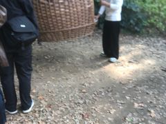 -东湖落雁景区