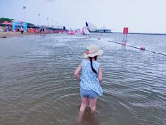 -碧海金沙