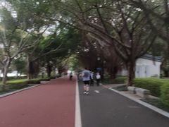 -南宁南湖公园