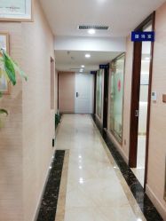 -碧莲盛·不剃发植发