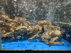 -徐记海鲜(大明宫|北二环店)