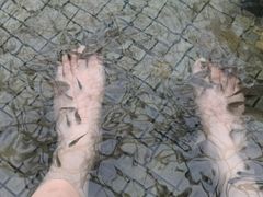 -盛泰恐龙谷温泉