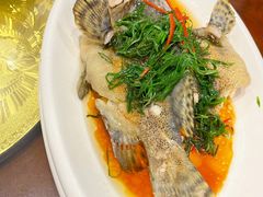 清蒸老虎斑-金穗园·砂锅粥.醉鸡煲火锅(长寿路店)