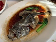 清蒸珍珠龙趸鱼-顺峰(农展馆店)