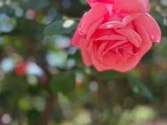 -上海交通大学(闵行校区)