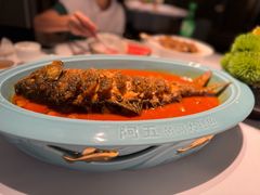 -阿五黄河大鲤鱼(纬三路店)