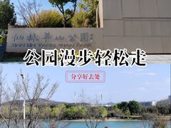 -羊山湖公园