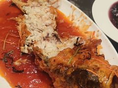 -大连湾旭日·家宴·海肠捞饭(马栏广场店)