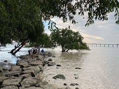 -宝安西湾红树林湿地公园