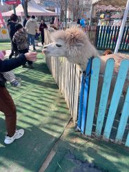 -萌宠亲子动物乐园(槐房万达店)