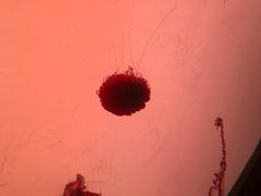 -沈阳海洋探索中心