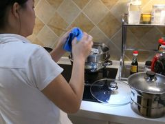 -田螺阿姨自营月嫂·育儿嫂(高新店)