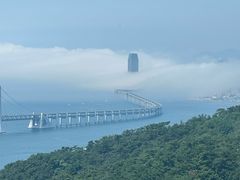 -星海湾跨海大桥