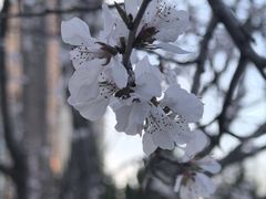 -大望京公园