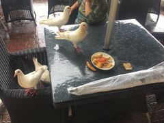 -深圳东部华侨城茵特拉根酒店