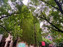 -陕西师范大学(雁塔校区)