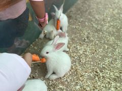 -新地休闲农场