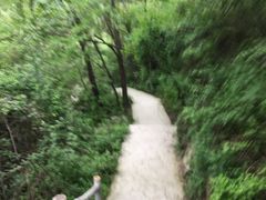 -太平万花山景区