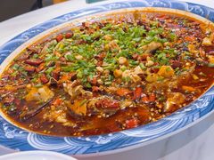 -新概念来凤鱼(璧山店)