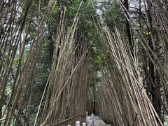 -道教老君洞