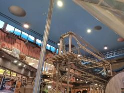 -卡通尼·Safari非洲探索乐园·生日会(金桥国际商业广场店)