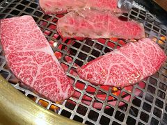 -肉魁屋·烧肉·烧鸟·酒场(高新店)