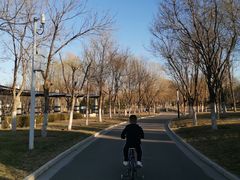 -五环公园