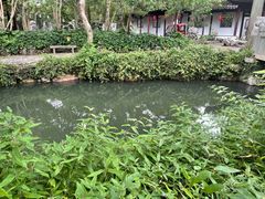 -颐缘居·南翔小笼馆