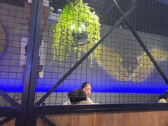 -杨记齐齐哈尔烤肉(五莲路店)