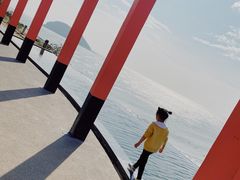 -漳州滨海火山岛自然生态风景区