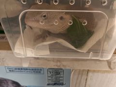 -深圳野生动物园宠物医院(西湖林语店)