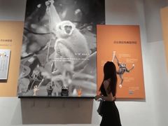 -柳州白莲洞洞穴科学博物馆