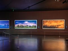 -罗红摄影艺术馆