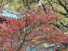 -岳麓山风景名胜区