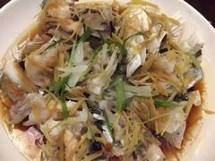 -优护优家Ucare月嫂育儿嫂陪伴师(静安店)