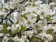 -济南国际园博园