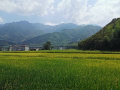 -仙霞关景区